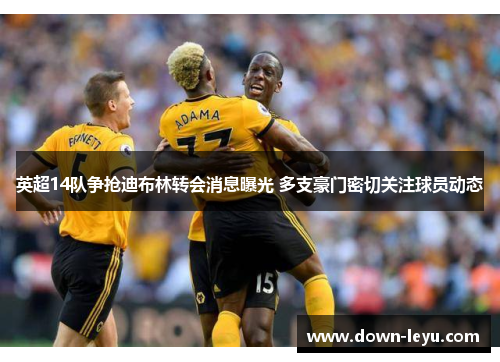 英超14队争抢迪布林转会消息曝光 多支豪门密切关注球员动态 英超14队争抢迪布林转会消息曝光 多支豪门密切关注球员动态