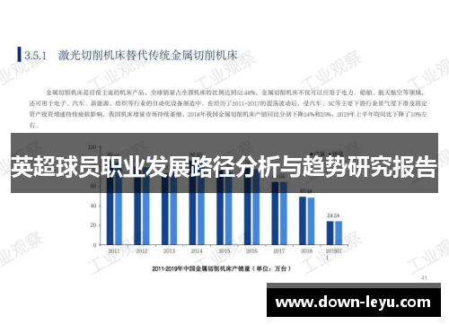 英超球员职业发展路径分析与趋势研究报告 英超球员职业发展路径分析与趋势研究报告
