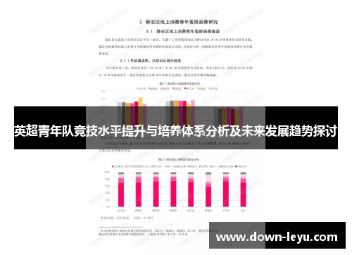英超青年队竞技水平提升与培养体系分析及未来发展趋势探讨
